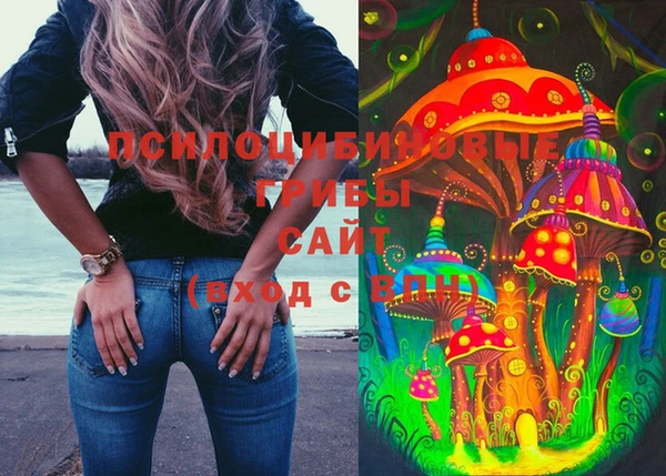 героин Алексин