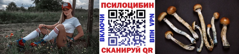 Галлюциногенные грибы прущие грибы  Чусовой 