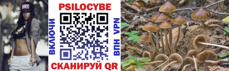 Псилоцибиновые грибы GOLDEN TEACHER Чусовой