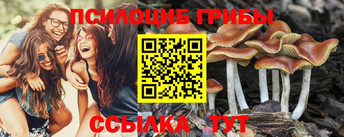 Псилоцибиновые грибы MAGIC MUSHROOMS  Вход с VPN  Чусовой 