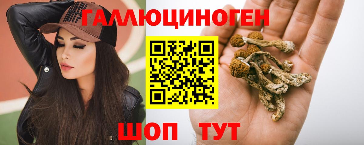 Галлюциногенные грибы мухоморы Чусовой